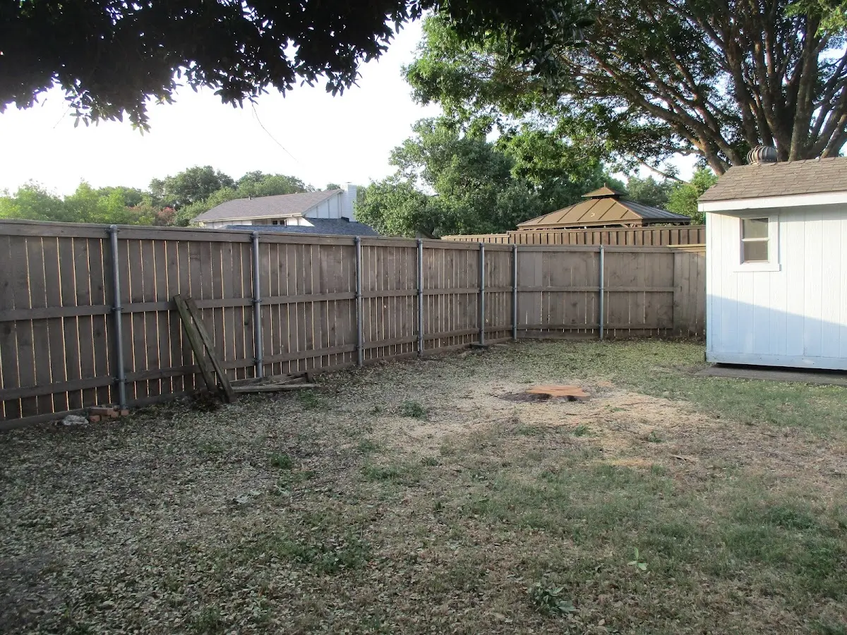 Cleared yard after professional tree removal in Upperstrasburg